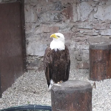 En Rondins - 3 Minutes Des Pistes Chalet