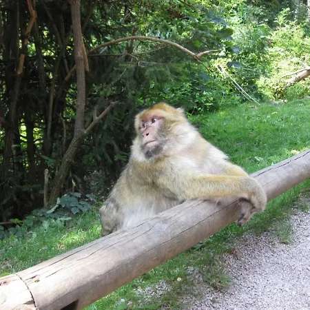 En Rondins - 3 Minutes Des Pistes Chalet *