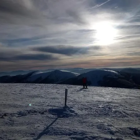 La Bresse Lodge Chalet En Rondins Climatise *