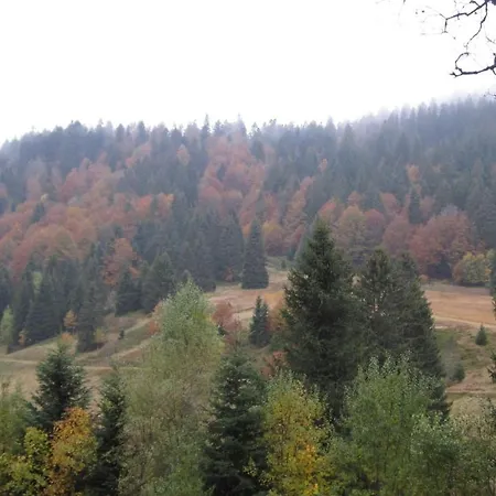 La Bresse Lodge Chalet En Rondins Climatise לה ברסה