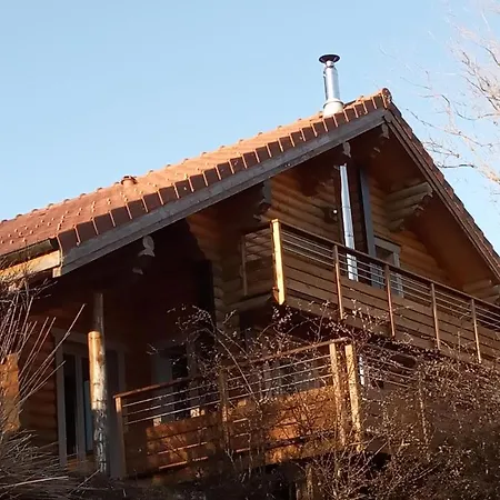 La Bresse Lodge Chalet En Rondins Climatise בקתה
