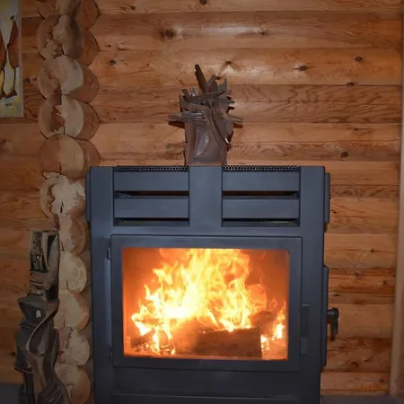En Rondins Climatise * La Bresse