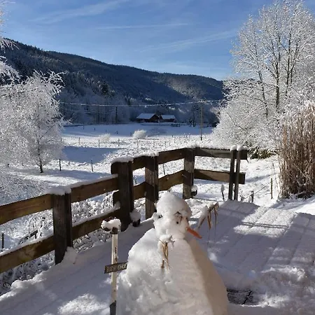 Horská chata En Rondins Climatise La Bresse