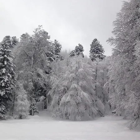 בקתה La Bresse Lodge Chalet En Rondins Climatise *
