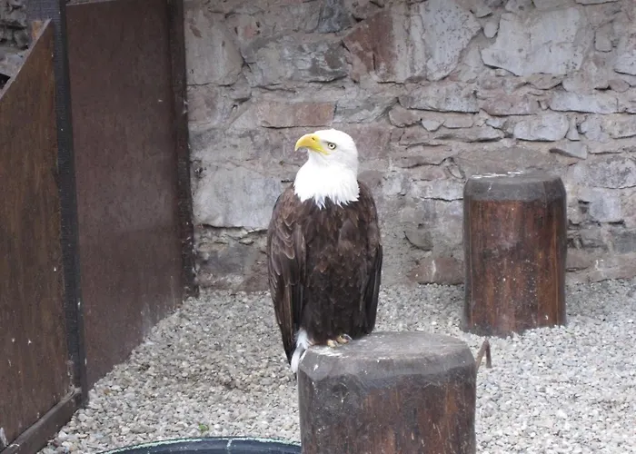 En Rondins - 3 Minutes Des Pistes Horská chata