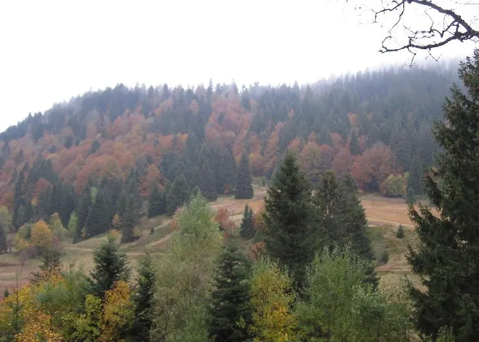 En Rondins - 3 Minutes Des Pistes La Bresse