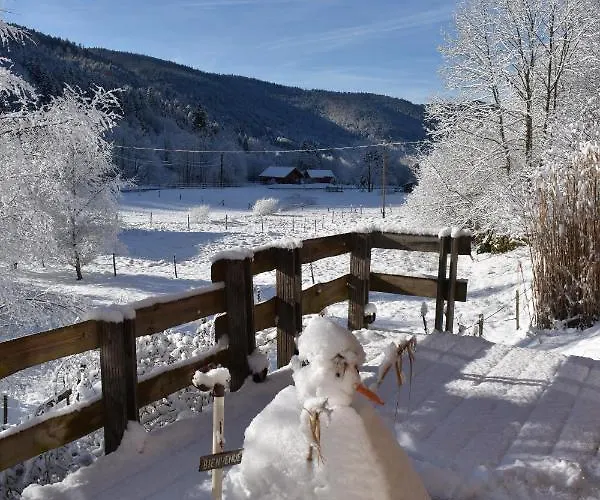 Horská chata En Rondins - 3 Minutes Des Pistes La Bresse