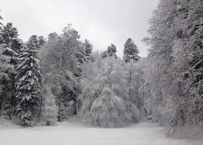 Horská chata En Rondins - 3 Minutes Des Pistes *